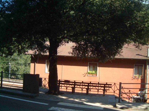  Image name: 03 leccio.jpg 
 width: 512 pixel 
 height: 384 pixel 
 Size: 65717 bytes 
 Click to enlarge 